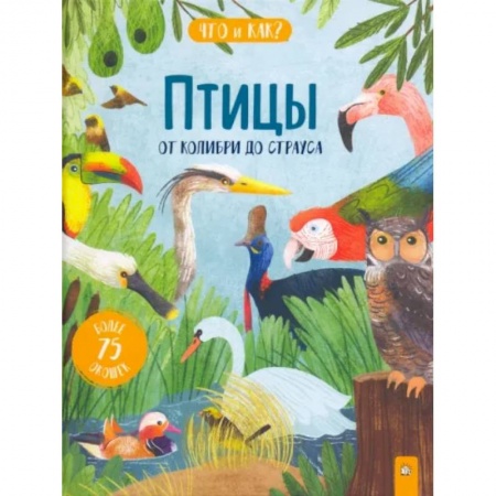 Познавательная литература, книга Птицы. От колибри до страуса