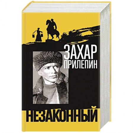 Мемуары, биографии, книга Шолохов. Незаконный