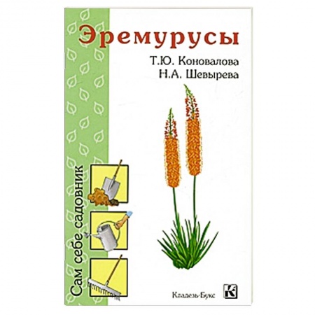 Книги, книга Эремурусы