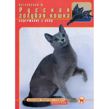 Книги, книга Русская голубая кошка. Содержание и уход