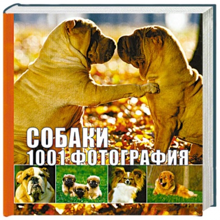 Книги, книга Собаки. 1001 фотография