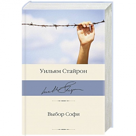 Классика, современная литература, книга Выбор Софи