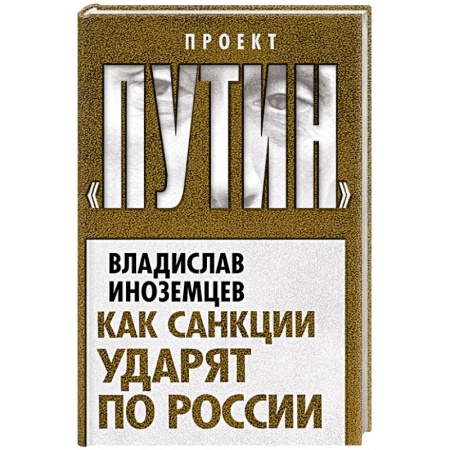 Книги, книга Как санкции ударят по России