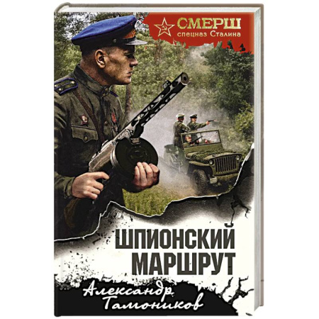 Детективы, триллеры, книга Шпионский маршрут