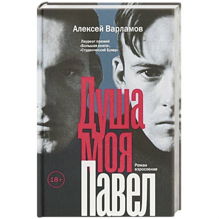 Классика, современная литература, книга Душа моя Павел