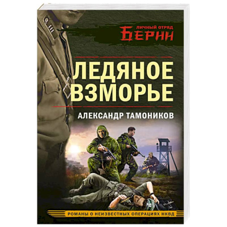 Детективы, триллеры, книга Ледяное взморье