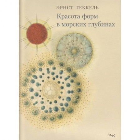 Книги, книга Красота форм в морских глубинах