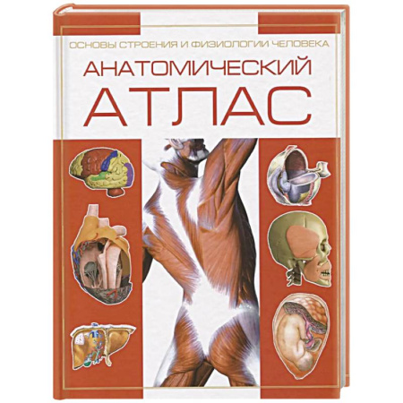 книга Анатомический атлас с доставкой по Франции Медико-биологические дисциплины, книга Анатомический атлас