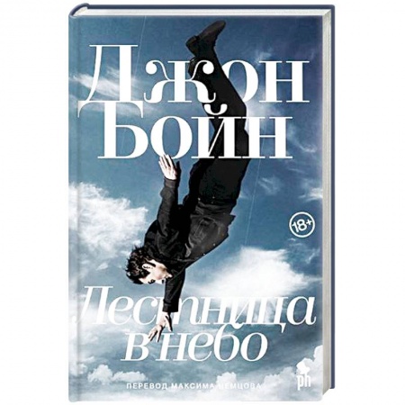 Классика, современная литература, книга Лестница в небо