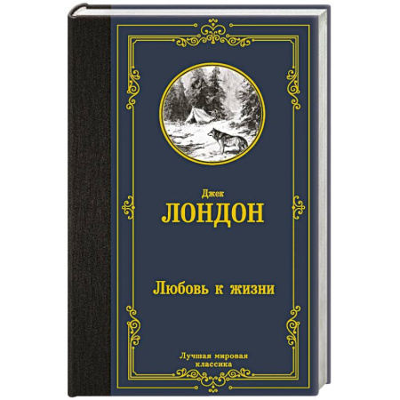 Классика, современная литература, книга Любовь к жизни