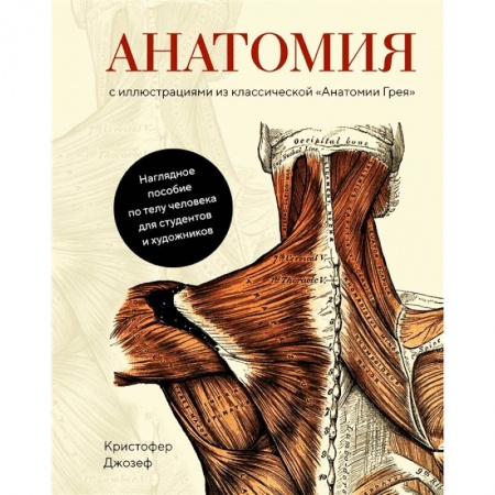 Школьникам и абитуриентам, книга Анатомия:с иллюстрациями из классической 'Анатомии Грея'