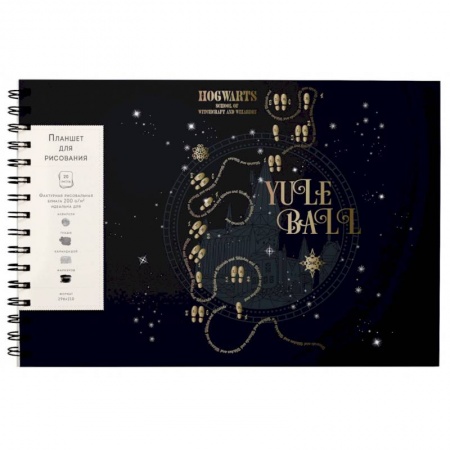 Досуг, творчество и кулинария, книга Скетчбук 20 листов (А4), Гарри Поттер. Хогвартс (неоновый)