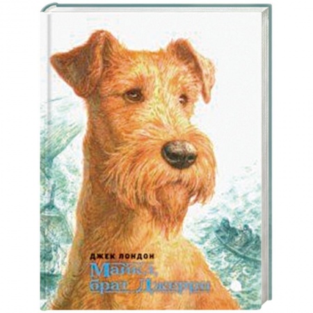 Проза для детей, книга Майкл, брат Джерри