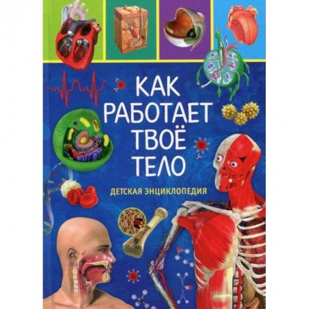 Познавательная литература, книга Как работает твое тело