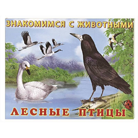 Познавательная литература, книга Лесные птицы