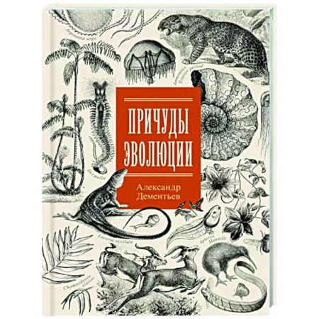 Естественные науки, книга Причуды эволюции