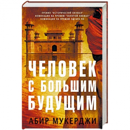 Детективы, триллеры, книга Человек с большим будущим