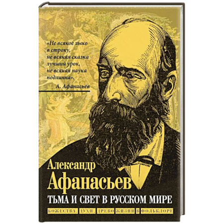 Общественные и гуманитарные науки, книга Тьма и свет в русском мире. Божества, духи, древо жизни в фольклоре