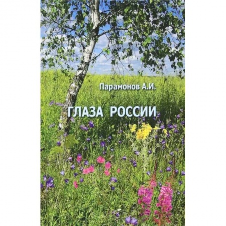 Классика, современная литература, книга Глаза России