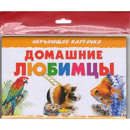 Познавательная литература, книга Домашние любимцы