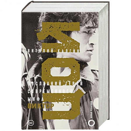 Мемуары, биографии, книга Виктор Цой. Последний герой современного мифа. Новая редакция