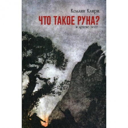 Религиоведение. История религий, книга Что такое руна?