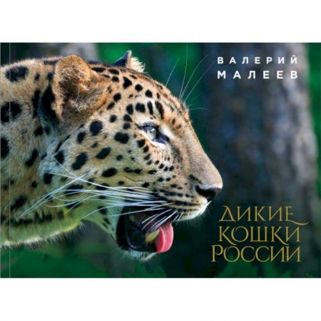 Естественные науки, книга Дикие кошки России: иллюстрированный авторский фотоальбом