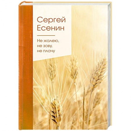 Классика, современная литература, книга Не жалею, не зову, не плачу