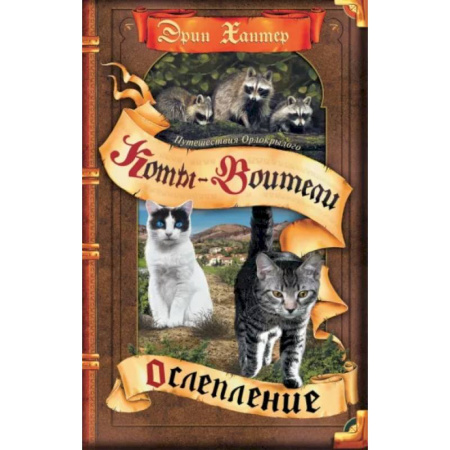 Проза для детей, книга Ослепление