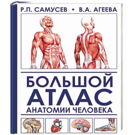 Медицинские энциклопедии и справочники, книга Большой атлас анатомии человека