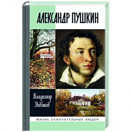 Мемуары, биографии, книга Александр Пушкин