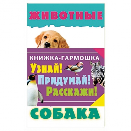 Книги, книга Животные
