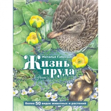 Познавательная литература, книга Жизнь пруда
