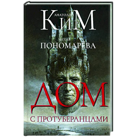 Классика, современная литература, книга Дом с протуберанцами
