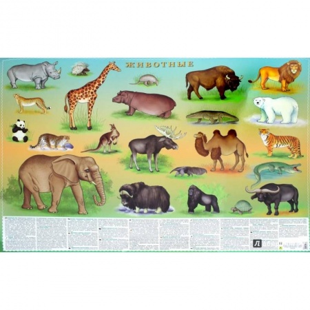 Школьникам и абитуриентам, книга Животные. Цифры и факты. Настольное издание