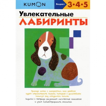 Досуг, творчество и кулинария, книга Увлекательные лабиринты
