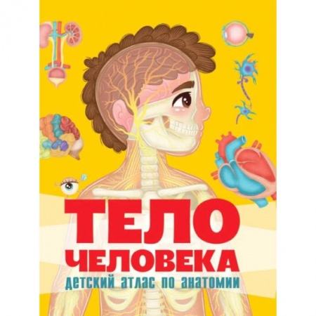 Познавательная литература, книга Тело человека. Детский атлас по анатомии