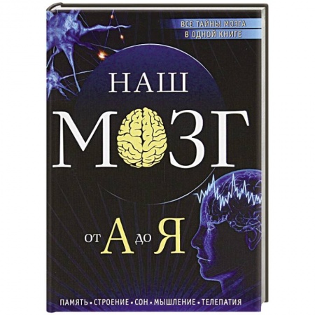 Книги, книга Наш мозг от А до Я