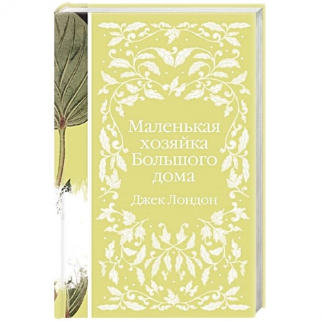 Классика, современная литература, книга Маленькая хозяйка Большого дома