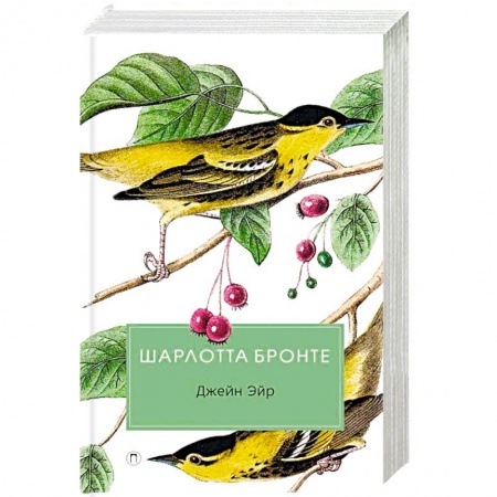 Классика, современная литература, книга Джейн Эйр