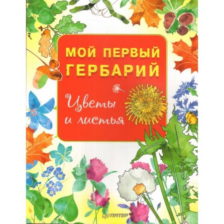 Познавательная литература, книга Мой первый гербарий. Цветы и листья