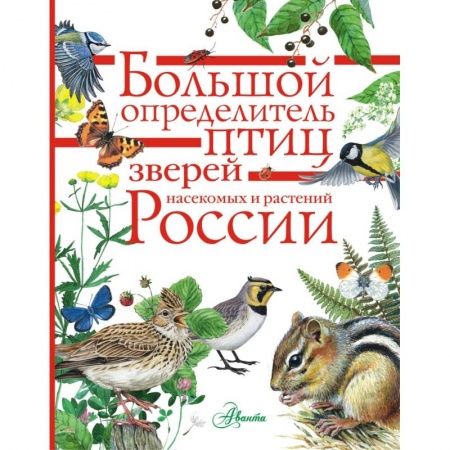 Познавательная литература, книга Большой определитель зверей, амфибий, рептилий, птиц, насекомых и растений России