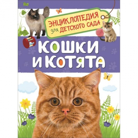 Познавательная литература, книга Кошки и котята