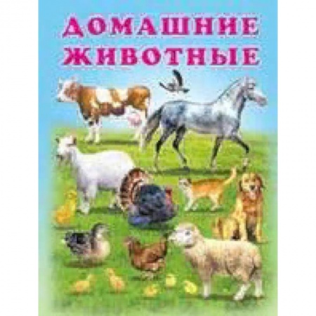 Книги для самых маленьких (0-3 года), книга Домашние животные