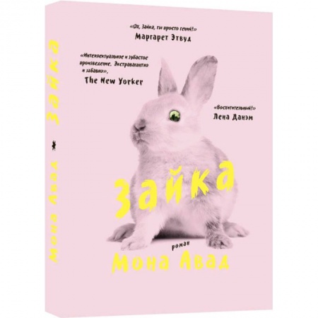 Классика, современная литература, книга Зайка