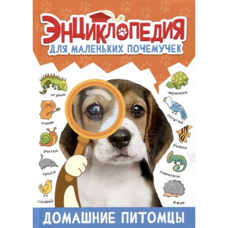 Познавательная литература, книга Домашние питомцы