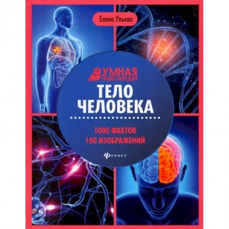 Познавательная литература, книга Тело человека: энциклопедия