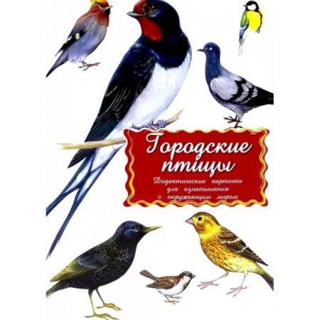 Познавательная литература, книга Дидактические карточки. Городские птицы