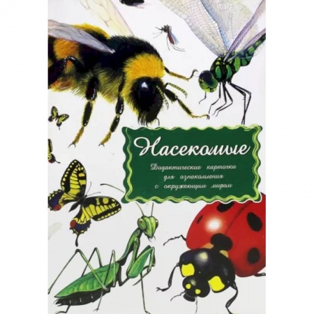 Познавательная литература, книга Дидактические карточки. Насекомые