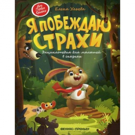 Классика, современная литература, книга Я побеждаю страхи